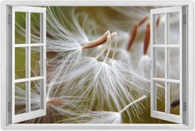 Poszterek 90x60 Pitypang Virág Virágok