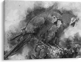 Kép - Akvarell papagájok (70x50 cm)