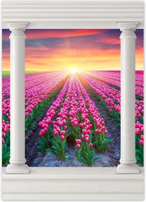 Poszterek 50x70 Tulipánok tengere Virágok