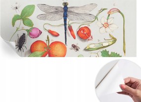 Fotótapéta Öntapadós tapéta a szobába Természeti illusztráció 250x104