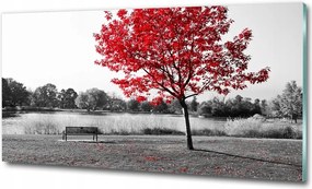 Fotó üvegkép Vízesés az erdőben 125x50