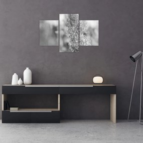 Kép - Boho pampafű (90x60 cm)