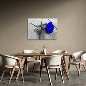 Üveg kép - Kék rózsa (70x50 cm)