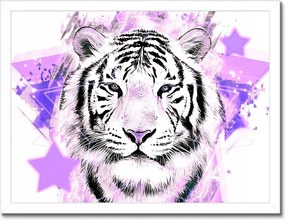 Poszter keretben 40x30 Tigris lila