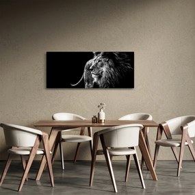 Kép - Oroszlán, fekete-fehér (120x50 cm)