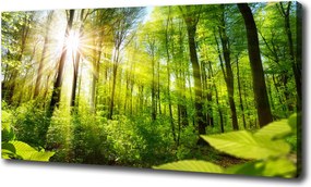 Nagyméretű vászonkép Erdő a napsütésben 100x70 cm