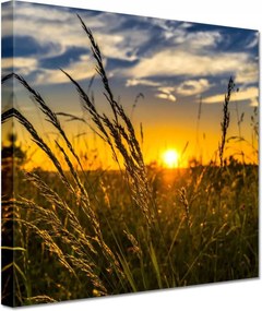 Vászonkép 20x20 Naplemente a füvek között