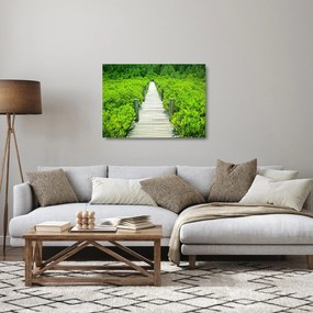 Kép - fa járda (üvegen) (70x50 cm)