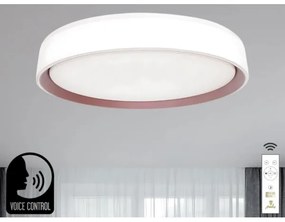 LED Dimmelhető mennyezeti lámpa hangvezérléssel OPAL LED/48W/230V + távirányító