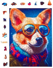 Colin, a corgi fa puzzle