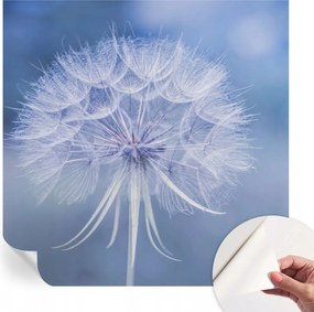 Öntapadós tapéta 3D fali furnér Kék finomság 250x250 cm