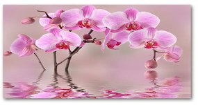 Akrilkép Rózsaszín orchidea oah-79883275