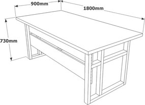 Mnem Walnut íróasztal