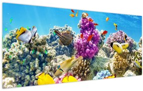 Kép - A tenger világa (120x50 cm)