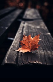 Poszter 53x81cm Egy levél