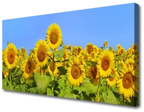 Vászonkép nyomtatás Napraforgó virág növény 100x50 cm