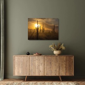 Üveg kép - Saguaro kaktuszok (70x50 cm)