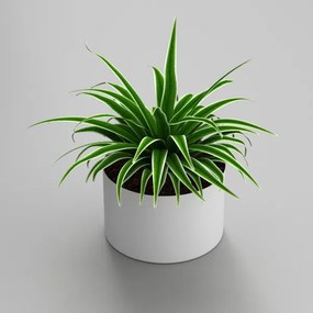 Virágcserép 11x17 cm fehér