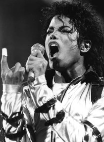 Fotográfia MICHAEL JACKSON The King of Pop', .