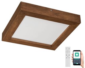 Brilagi Brilagi-LED Dimmelhető lámpa WOODY FRAME LED/24W/230V tölgy 30x30 cm IP44 + távirányító BG0860