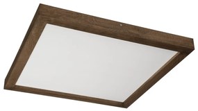 Brilagi-LED állítható fényű WOODY FRAME LED/50W/230V tölgy 60x60 cm IP44 + DO
