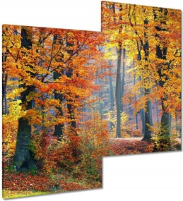 Vászonkép 60x60 Arany ősz