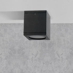 Kültéri fali lámpa MORRIS 1xGU10/35W/230V IP54