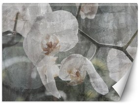 Gario Fotótapéta Orchidea vintage Anyag: Vlies, Méret: 200 x 140 cm