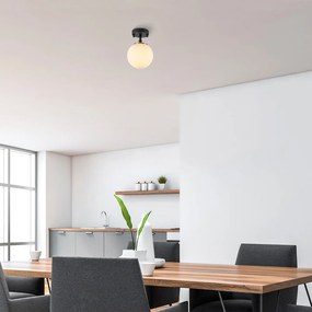 Fekete-fehér mennyezeti lámpa üveg búrával ø 15 cm Atmaca – Opviq lights