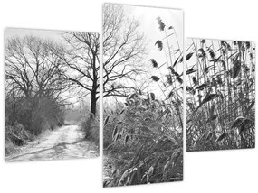 Kép - Mezők télen (90x60 cm)