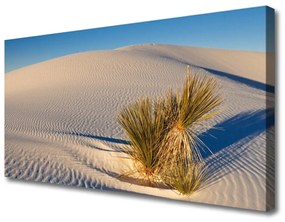 Vászonkép Fekvő sivatagi homok 140x70 cm