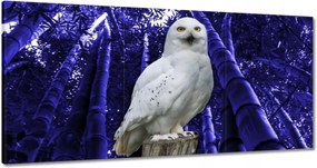 Vászonkép 180x90 Vadász a Bagoly őrsön