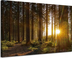 Vászonkép Naplemente Erdő Fák Természet 120x80 cm