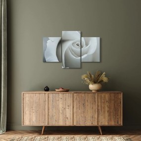 Kép - Fehér rózsa (90x60 cm)