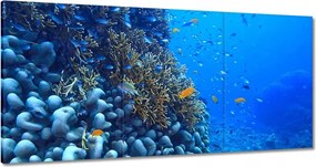 Képek 180x90 Vízalatti laguna korallok