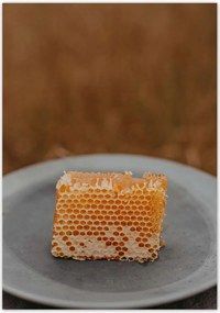 Poszterek 70x100 Méz Méhészet