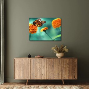Egy pillangó képe (70x50 cm)