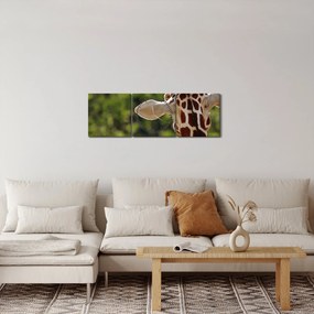 A zsiráf képe hátulról (órával) (90x30 cm)