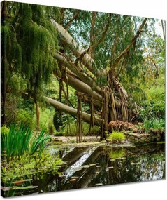 Vászonkép 40x40 Tájkép Látvány