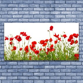 Vászonkép falra Pipacsok virágok Mező Természet 125x50 cm