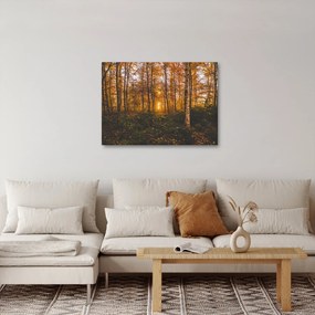 Egy őszi erdő képe (70x50 cm)