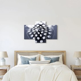 Kép - Toll (90x60 cm)