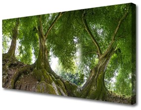 Vászonkép Plant fák természet 120x60 cm