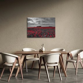 Pipacsos kép (70x50 cm)