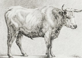 Fotótapéta Flizelina Nappali és Hálószoba Bika ceruza 208x146 Ragasztó