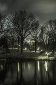 Poszter 40x60cm Central Park éjszaka 2, Assaf Frank