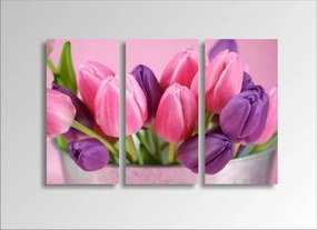 Digital Art vászonkép | 1211-S Tulipe Colore THREE