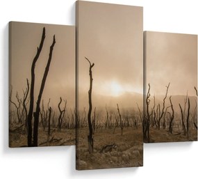Kép - Csupasz fák (90x60 cm)