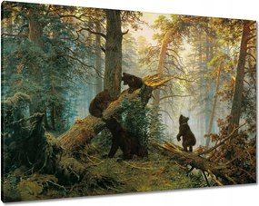 Vászonkép 100x70 Reggel a fenyőerdőben