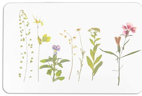 Fehér kovaföld fürdőszobai kilépő 39x60 cm – Artsy Doormats